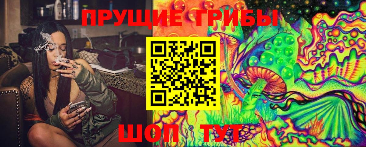 Псилоцибиновые грибы Cubensis Апшеронск