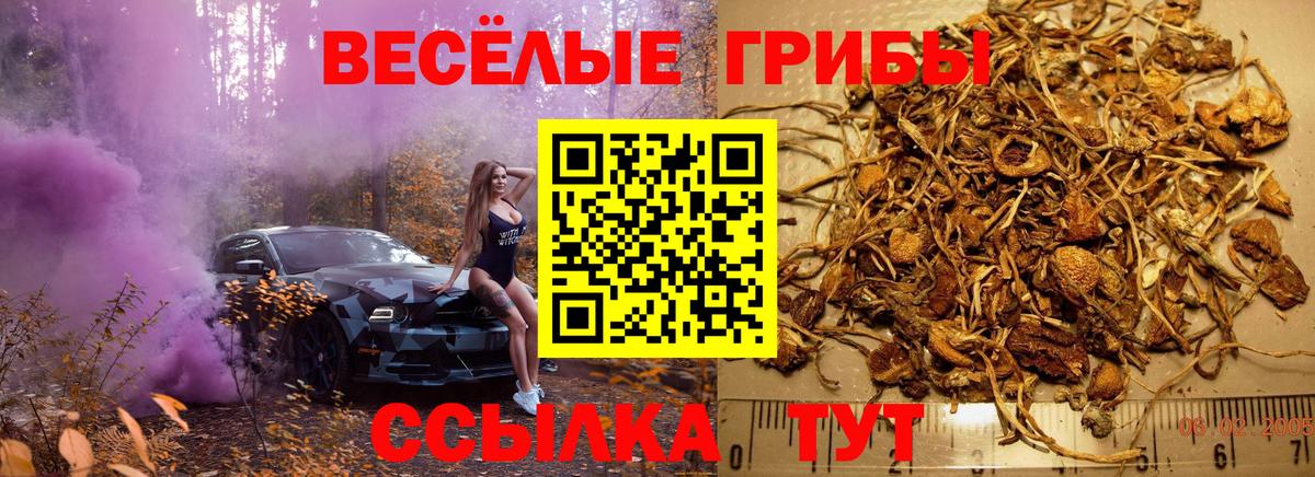 Апшеронск  Псилоцибиновые грибы Magic Shrooms  Вход с VPN 